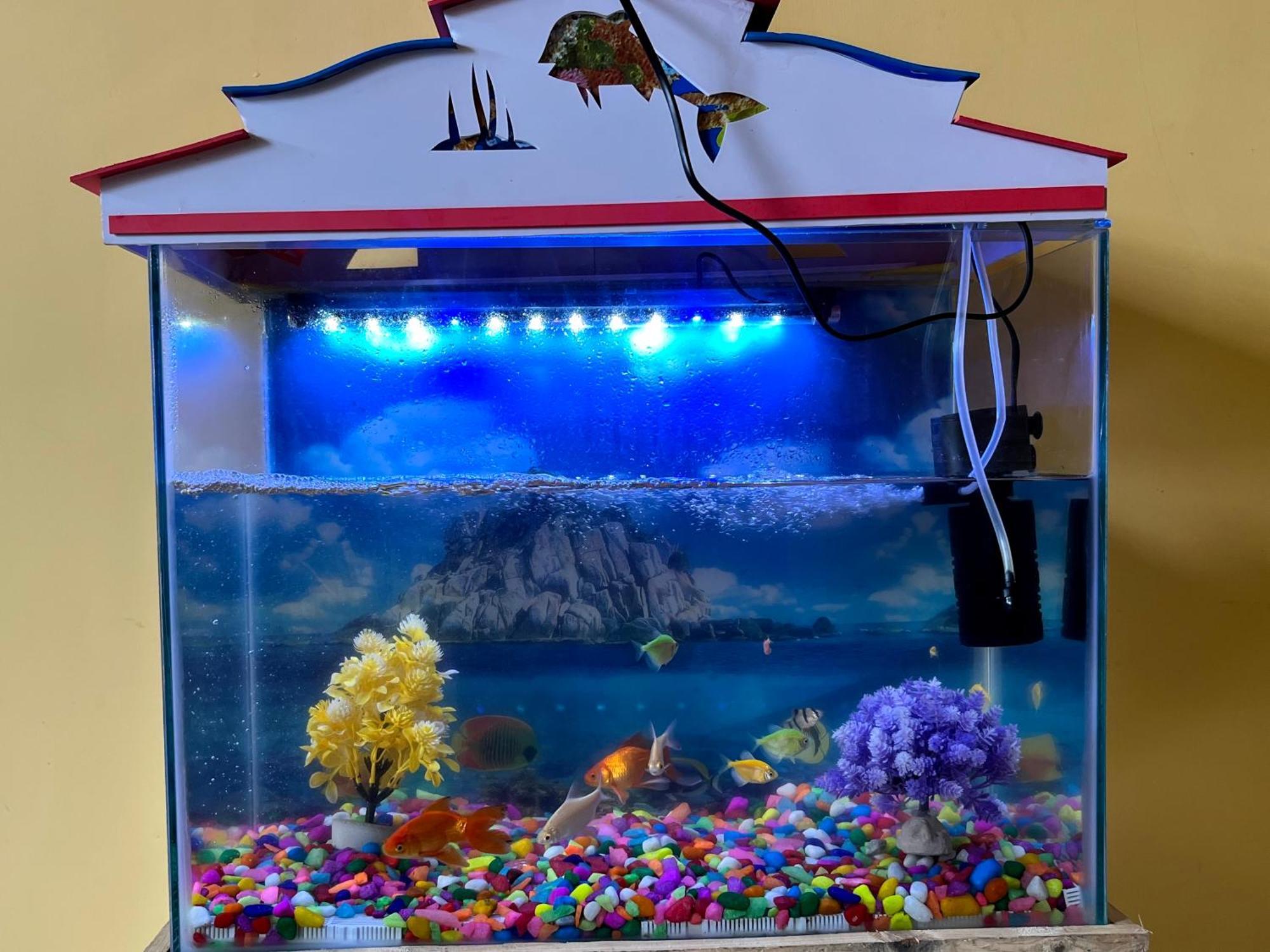 Dream Promenade Beach View بونديتْشيري المظهر الخارجي الصورة